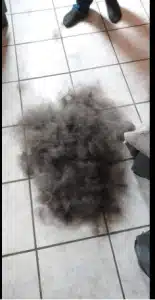 Furminator Chien 🐶 M Taille Moyenne Brosse Poils Longs photo review