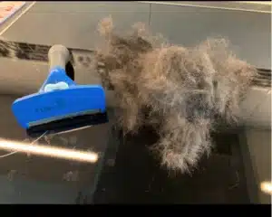 Furminator Chien L 🐶 Grande Taille Brosse Poils Courts photo review