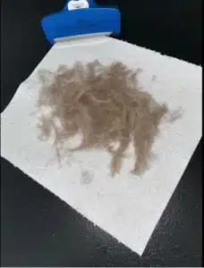 Furminator Chien L 🐶 Grande Taille Brosse Poils Courts photo review