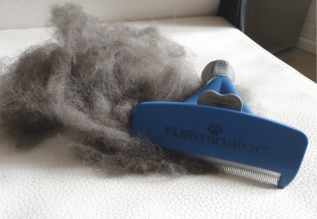 Brosse FURminator pour chiens de petite taille à poils longs