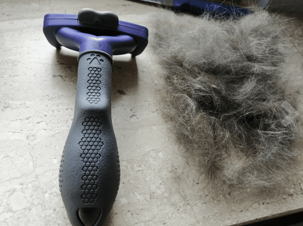 Furminator™ - Brosse révolutionnaire pour chats à poils longs