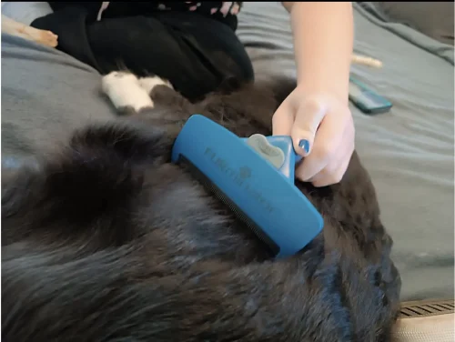 Furminator Chien 🐶 L Grande Taille Brosse Poils Longs photo review