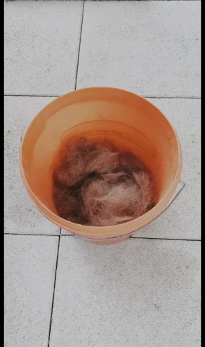Furminator Chien 🐶 L Grande Taille Brosse Poils Longs photo review