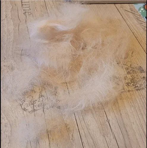 Furminator Chat L Poils Courts plus de 4,5 kg photo review