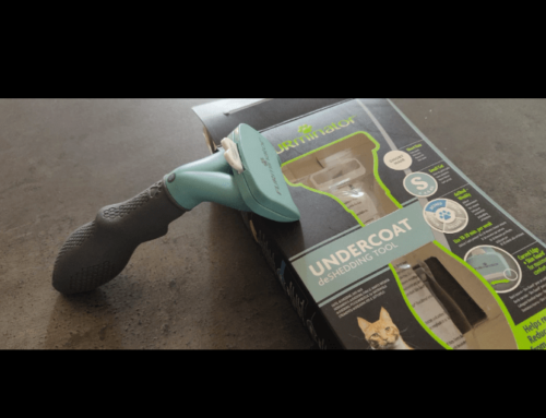 Furminator Chat 😺 S Poils Courts moins de 4,5kg photo review