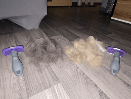 Furminator Chat L Poils long plus de 4,5 kg photo review