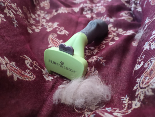 Furminator Chien 🐶 S Petite Taille Brosse Poils Longs 4 à 9 kg photo review