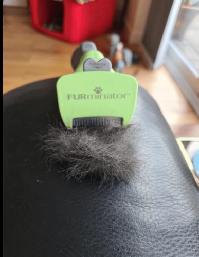 Furminator Chien 🐶 S Petite Taille Brosse Poils Longs 4 à 9 kg photo review