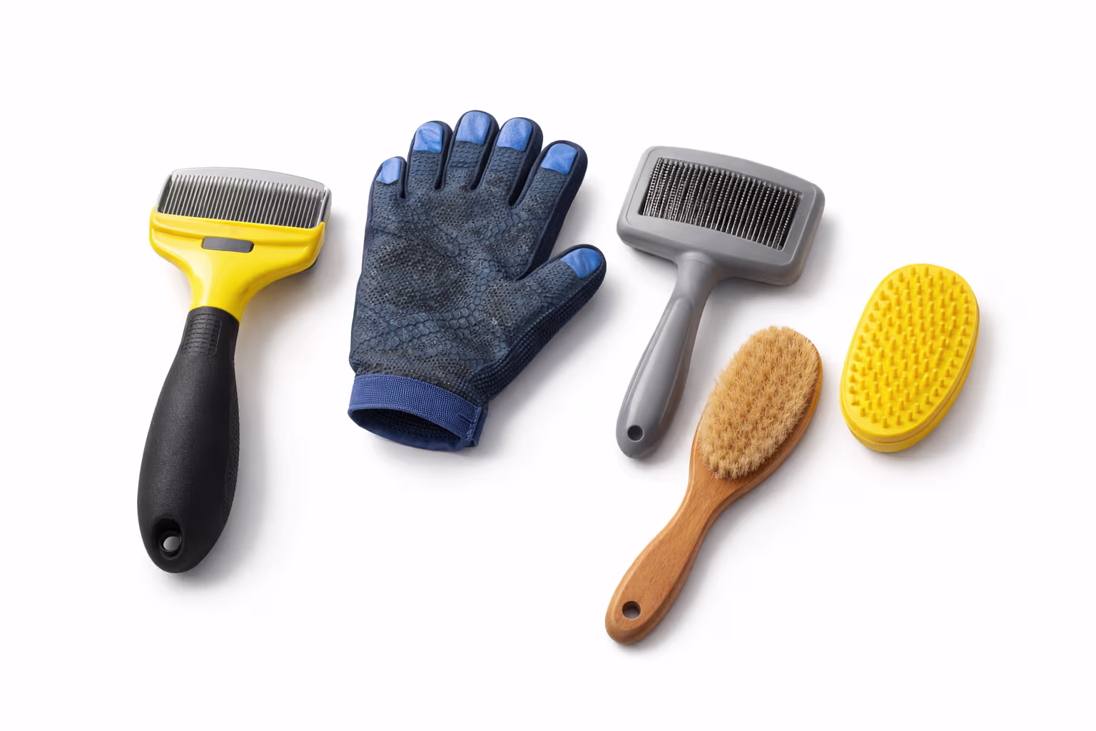 Les différents types de brosses pour chien à poil court — comparatif visuel