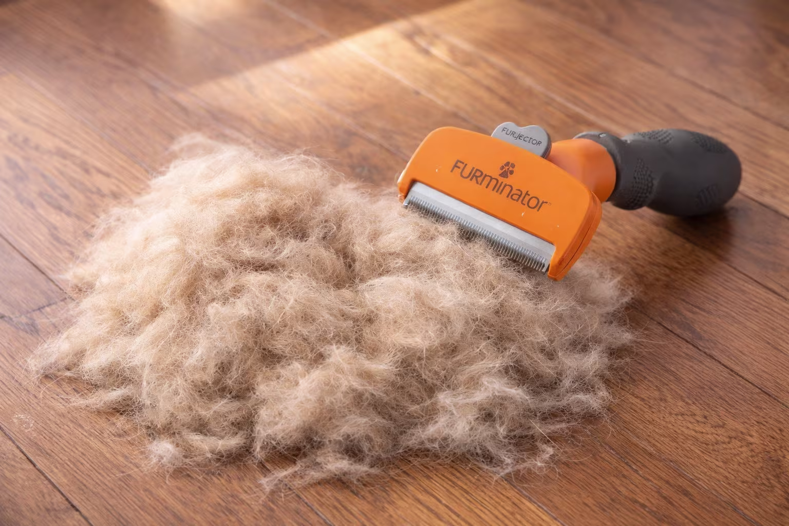 Résultat de l'utilisation de la brosse Furminator — tas de sous-poil retiré d'un chien à poil court